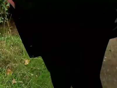 فاتنة غريبة فيديو سكس مترجم جديد مع الثدي رائعة يحصل لها كس ضيق خبطت