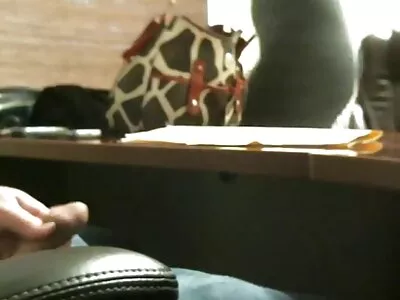 صغيرتي في موقع جديد افلام سكس سن المراهقة braceface يحب تذوق الديك السميك للجد
