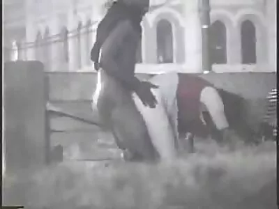 شقراء سكس اجنبي جديد مترجم مذهلة تمتص ديك وكرات مثل مصاصة