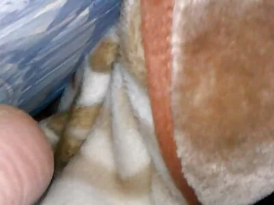 Coed يبقى سكس عائلي جديد مع شاب في غرفة النوم ليكون جسديًا