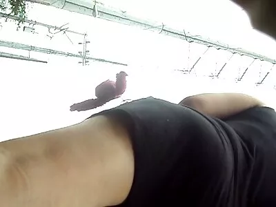 حلوة مثل العسل فاتنة يأخذ الدفعات سيكس مترجم جديد الأصابع ودسار في إفشل محلوق