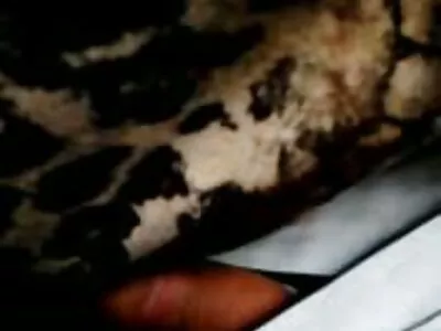 بدأ الحفل بلعبة Twister وذهب إلى العربدة الكاملة افلام سكس محارم جديد