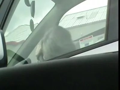 الفرخ لديها الحمار الجميل الذي سكس جديد كامل مترجم يخترق الأبله على الكاميرا